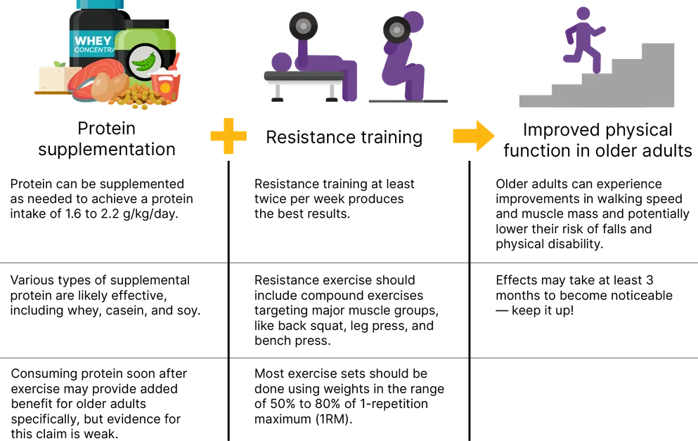 Read more about the article Boosting Walking Speed in Older Adults: The Power of Protein and Resistance Training