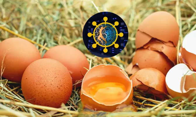 Read more about the article Understanding the Impact of Eggs and the Ketogenic Diet on Metabolic Health